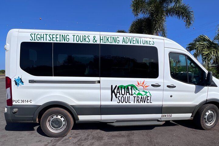 Kauai Eastside Waterfalls and Local Grinds Small-Group Tour: Wailua Falls and Fishpond (8/12)
