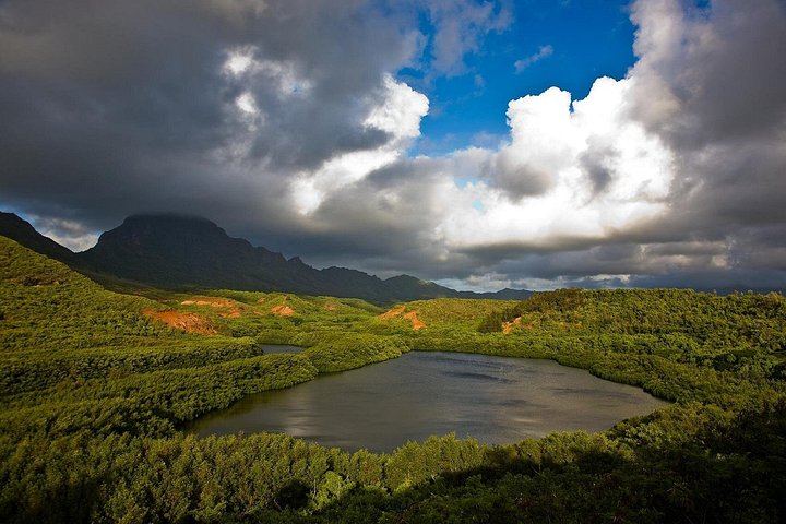 Kauai Eastside Waterfalls and Local Grinds Small-Group Tour: Wailua Falls and Fishpond (7/12)