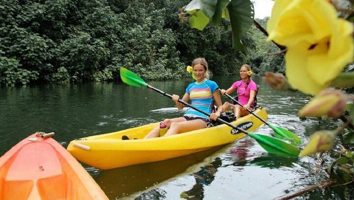 Kauai Secret Falls Kayak and Hike: 4.5 Hours, 4-Mile Paddle, 120-Foot Uluwehi Falls (1/5)