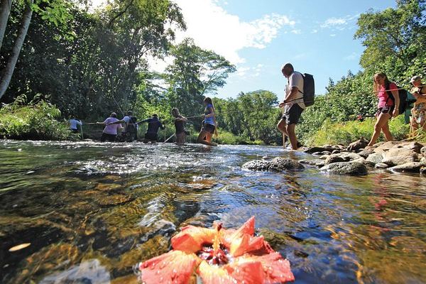 Kauai Secret Falls Kayak and Hike: 4.5 Hours, 4-Mile Paddle, 120-Foot Uluwehi Falls