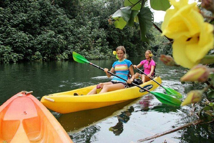 Kauai Secret Falls Kayak and Hike: 4.5 Hours, 4-Mile Paddle, 120-Foot Uluwehi Falls (1/5)