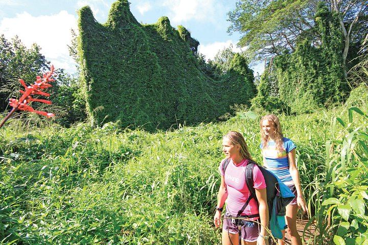 Kauai Secret Falls Kayak and Hike: 4.5 Hours, 4-Mile Paddle, 120-Foot Uluwehi Falls (5/5)