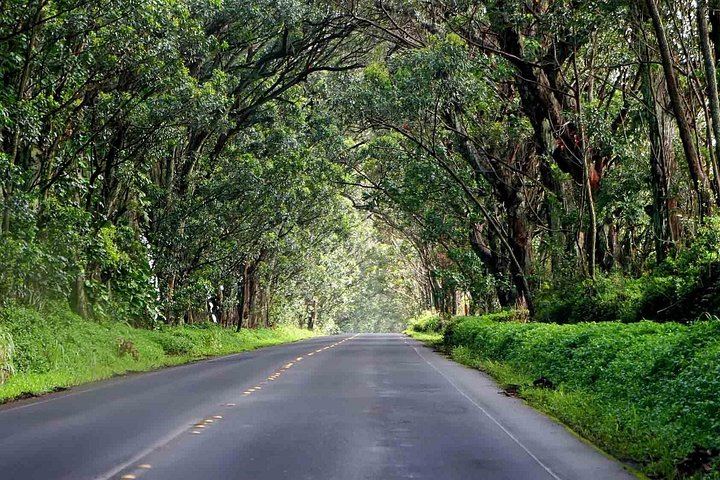 Kauai Legends, Waterfalls and Spouting Horn Small-Group Tour from Kapaa, Koloa Lunch (10/12)