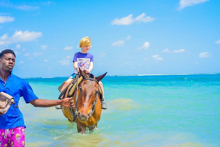 Aqua Fun Tours Dunn's River Falls, White River Tubing and Horseback Riding (2/7)