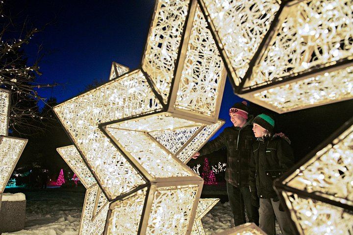 Niagara Falls Festival of Lights Evening Tour from Toronto with Maple Tasting (5/12)