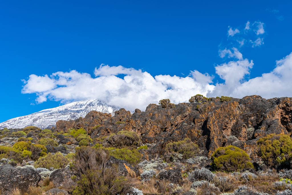 Snow-capped summit of Kilimanjaro above rocky slopes and scrub under a blue sky and white clouds