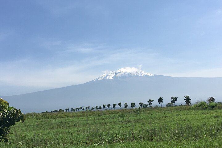 Materuni Waterfalls Swim and Chagga Coffee Half-Day Walk from Moshi Hotels (12/12)