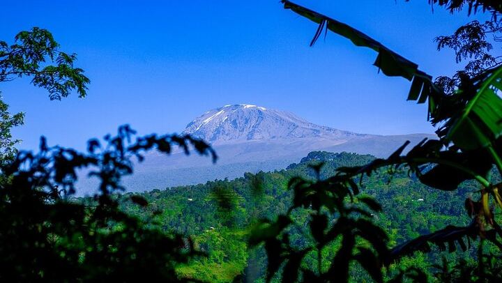 Materuni Village Walk, Waterfall and Coffee with Hot Local Lunch from Arusha or Moshi (2/12)