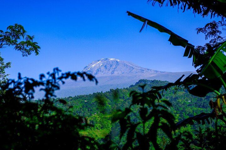 Materuni Village Walk, Waterfall and Coffee with Hot Local Lunch from Arusha or Moshi (2/12)