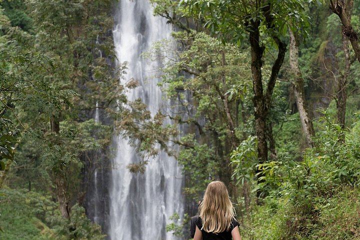 Materuni Village Walk, Waterfall and Coffee with Hot Local Lunch from Arusha or Moshi (6/12)