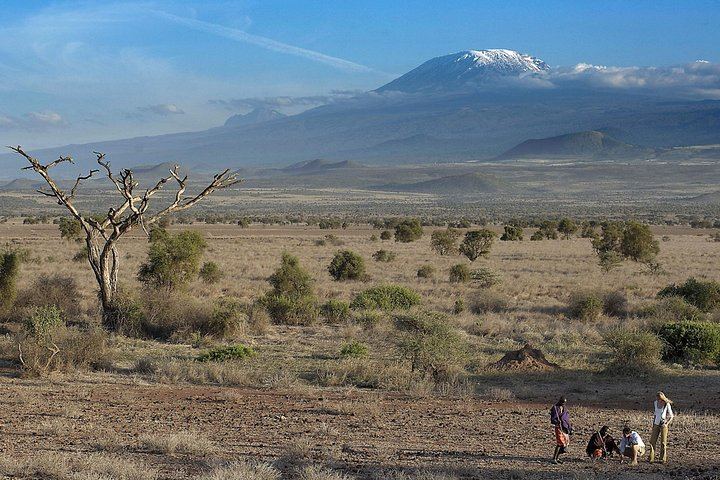Materuni Village Walk, Waterfall and Coffee with Hot Local Lunch from Arusha or Moshi (11/12)