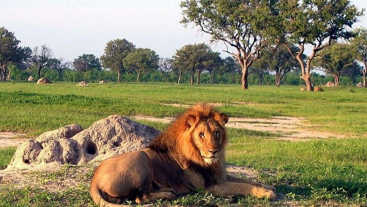 Victoria Falls and Hwange 5-Day Safari With Sunset Cruise and Full-Day Game Drive (1/6)