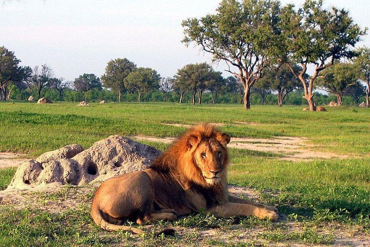 Victoria Falls and Hwange 5-Day Safari With Sunset Cruise and Full-Day Game Drive (1/6)
