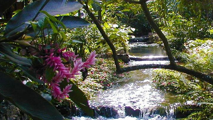 Private Konoko Falls and Blue Hole Combo Tour from Ocho Rios for Cruise Passengers (1/12)