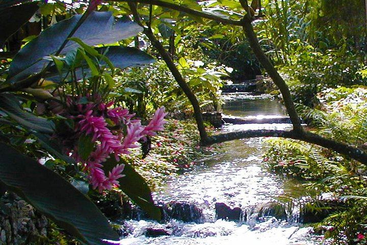 Private Konoko Falls and Blue Hole Combo Tour from Ocho Rios for Cruise Passengers (1/12)