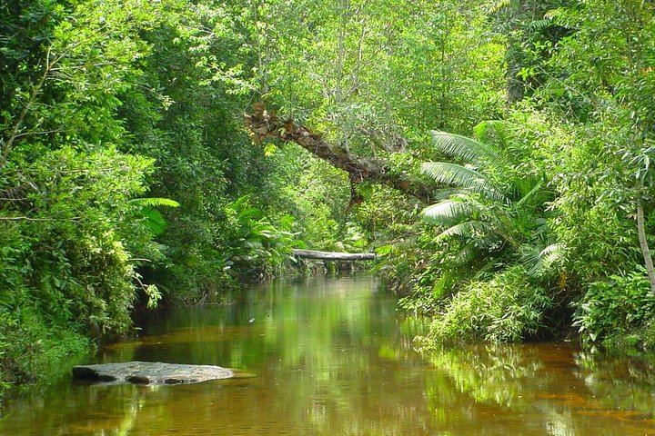 Private Five-Hour Phnom Kulen Tour to the Reclining Buddha, 1000 Lingas and Waterfall (4/12)