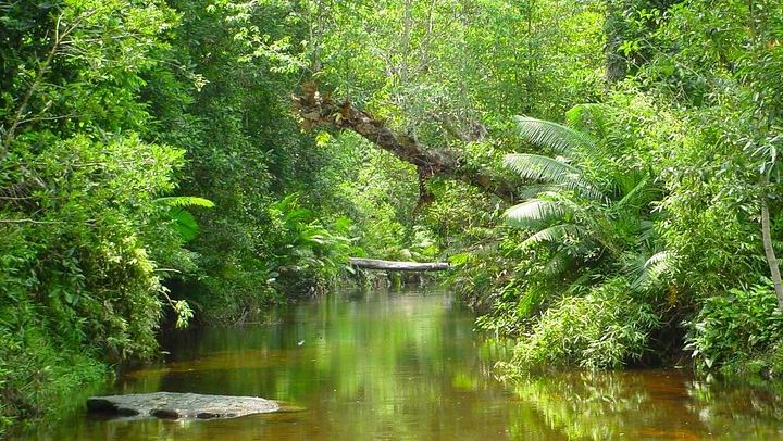 Private Five-Hour Phnom Kulen Tour to the Reclining Buddha, 1000 Lingas and Waterfall (4/12)
