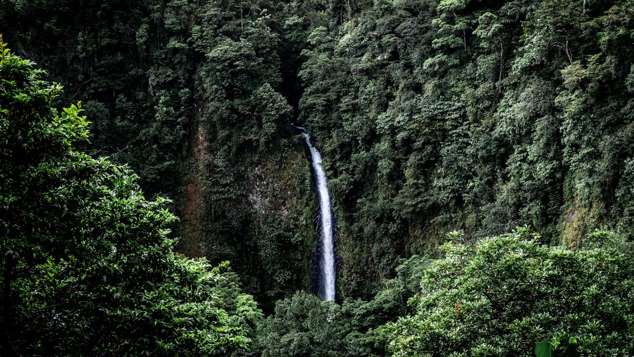 La Fortuna waterfall, a thin white fall in a dark green forested gorge, seen from a distance in Costa Rica