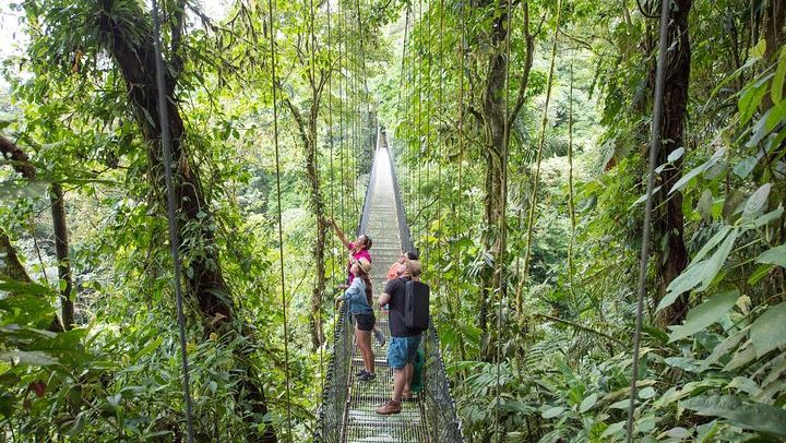 Arenal 1968 Trail, La Fortuna Waterfall and Mistico Hanging Bridges Small-Group Combo (4/12)