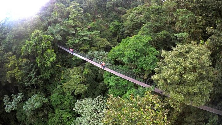 Arenal 1968 Trail, La Fortuna Waterfall and Mistico Hanging Bridges Small-Group Combo (1/12)