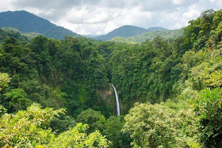 La Fortuna Waterfall, Arenal Volcano Park and Tabacon Hot Springs River, Early Start (4/8)