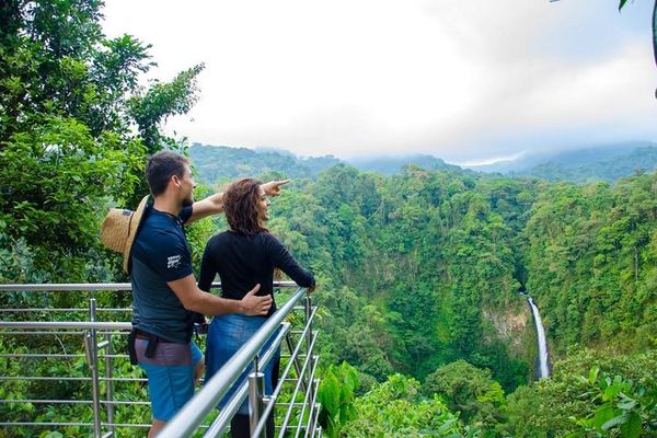 Arenal 1968 Trail, La Fortuna Waterfall and Mistico Hanging Bridges Small-Group Combo