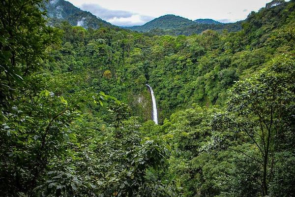 La Fortuna Waterfall Hike of About 530 Steps with Viewpoint and River Swim