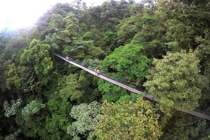 Arenal 1968 Trail, La Fortuna Waterfall and Mistico Hanging Bridges Small-Group Combo (1/12)