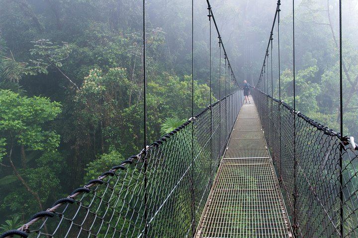 Arenal 1968 Trail, La Fortuna Waterfall and Mistico Hanging Bridges Small-Group Combo (12/12)