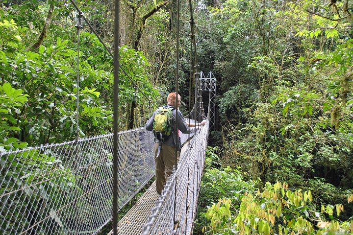 Arenal 1968 Trail, La Fortuna Waterfall and Mistico Hanging Bridges Small-Group Combo (6/12)