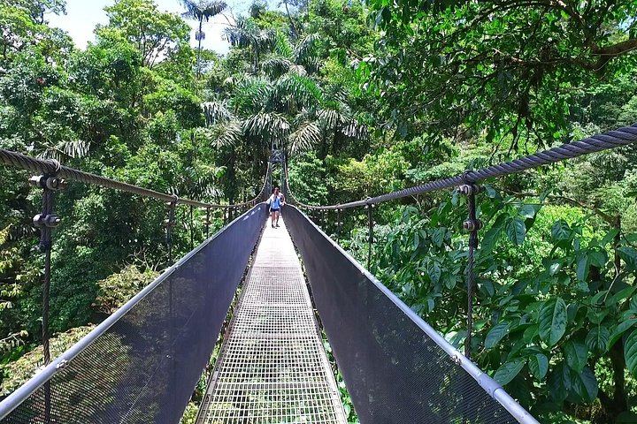 Arenal 1968 Trail, La Fortuna Waterfall and Mistico Hanging Bridges Small-Group Combo (10/12)