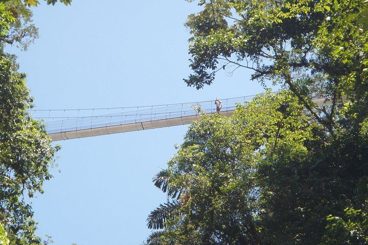 Arenal 1968 Trail, La Fortuna Waterfall and Mistico Hanging Bridges Small-Group Combo (8/12)