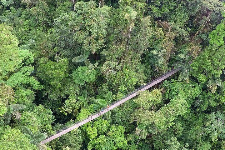 Arenal 1968 Trail, La Fortuna Waterfall and Mistico Hanging Bridges Small-Group Combo (11/12)