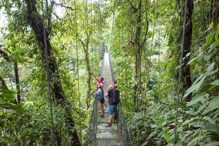 Arenal 1968 Trail, La Fortuna Waterfall and Mistico Hanging Bridges Small-Group Combo (4/12)