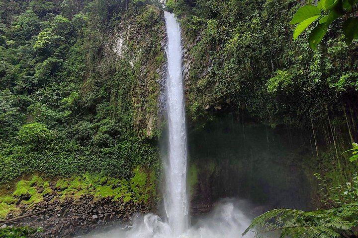 La Fortuna Waterfall Hike of About 530 Steps with Viewpoint and River Swim (1/12)