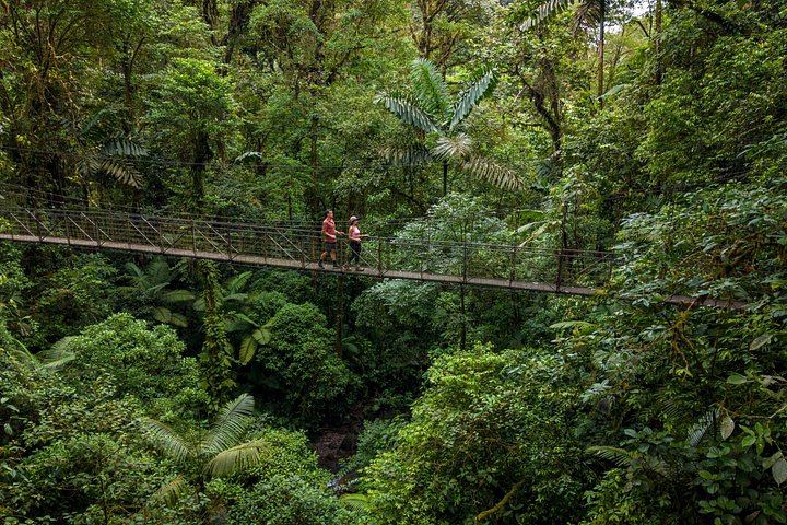 La Fortuna Waterfall and Maleku Village Half-Day with Tractor Ride and Hanging Bridge (10/12)