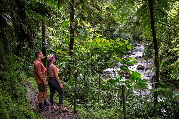 La Fortuna Waterfall and Maleku Village Half-Day with Tractor Ride and Hanging Bridge (8/12)