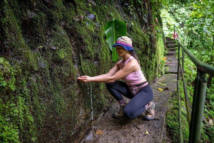 La Fortuna Waterfall and Maleku Village Half-Day with Tractor Ride and Hanging Bridge (11/12)