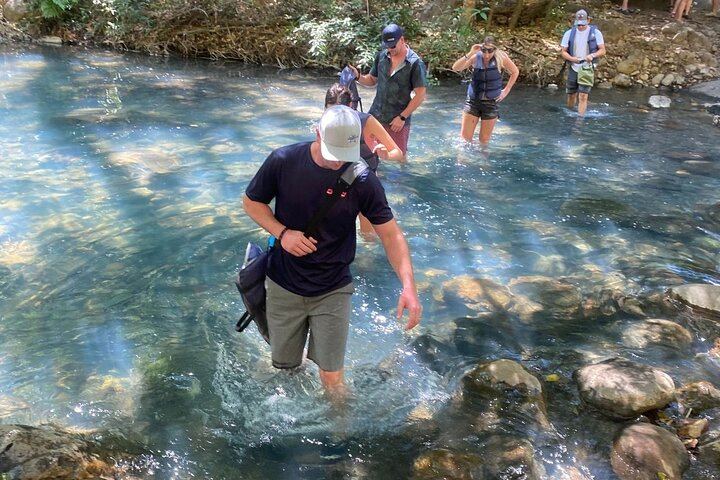La Leona Waterfall Adventure Hike, Group Tour from Curubande (9/9)