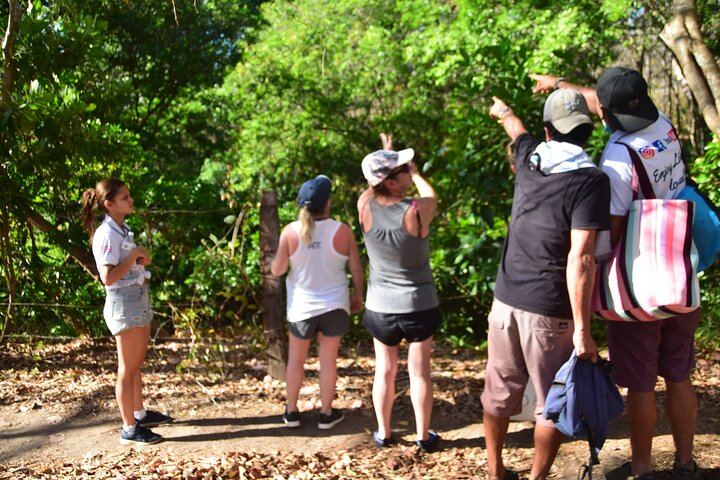 La Leona Waterfall, Cliff Jumping and Colorado River Tubing, Private Tour (12/12)