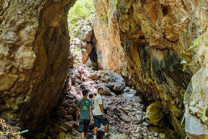 La Leona Waterfall Private Hike with Costa Rican Lunch and Hotel Pickup (9/12)