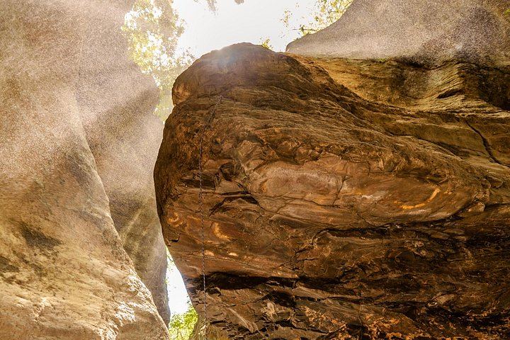 La Leona Waterfall Private Hike with Costa Rican Lunch and Hotel Pickup (4/12)
