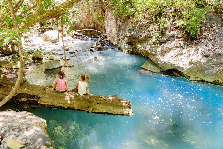 La Leona Waterfall Private Hike with Costa Rican Lunch and Hotel Pickup (3/12)