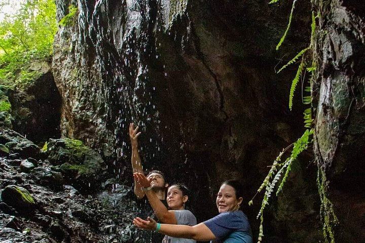 La Leona Waterfall Shared Tour with Casado Lunch from Tamarindo (2/12)