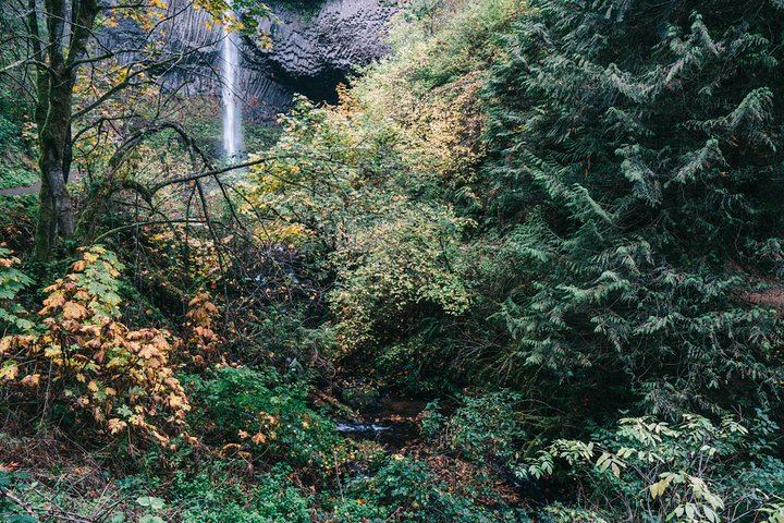 Half-Day Historic Highway Waterfalls Tour: Multnomah, Latourell, Horsetail (8/12)