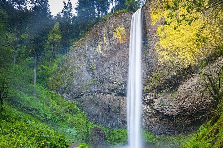 Private Multnomah Falls and Columbia Gorge Tour with Lunch Stop at the Lodge (4/12)