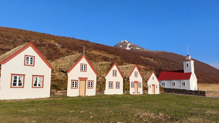 Half-Day Godafoss, Laufas Turf House and Christmas House Tour by The Traveling Viking (1/8)