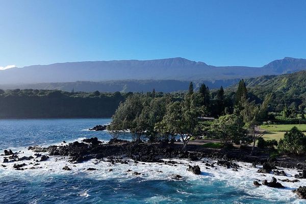 Half-Day Road to Hana by 2025 Mercedes Sprinter: Banana Bread, Turtles and Waterfall Swim