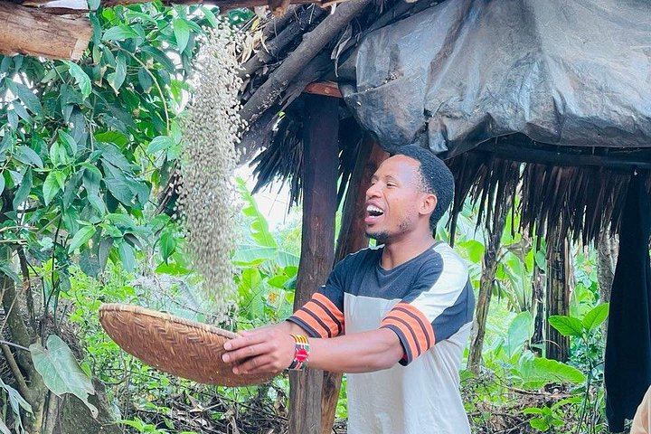 Materuni Coffee Tour and Chemka Hot Springs Day Trip with Local Lunch from Arusha (3/12)