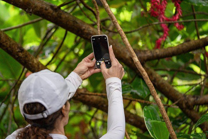 Small Group Hana Highway Waterfall Hike with Lunch from Kahului Park and Ride (7/11)